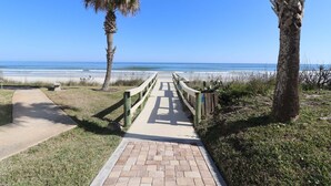 A paved pathway leading to the beach, flanked by palm trees and a wooden fence. - Sand Dollar 1-407 Amazing Oceanfront Views from Private Balcony! (St. Augustine)