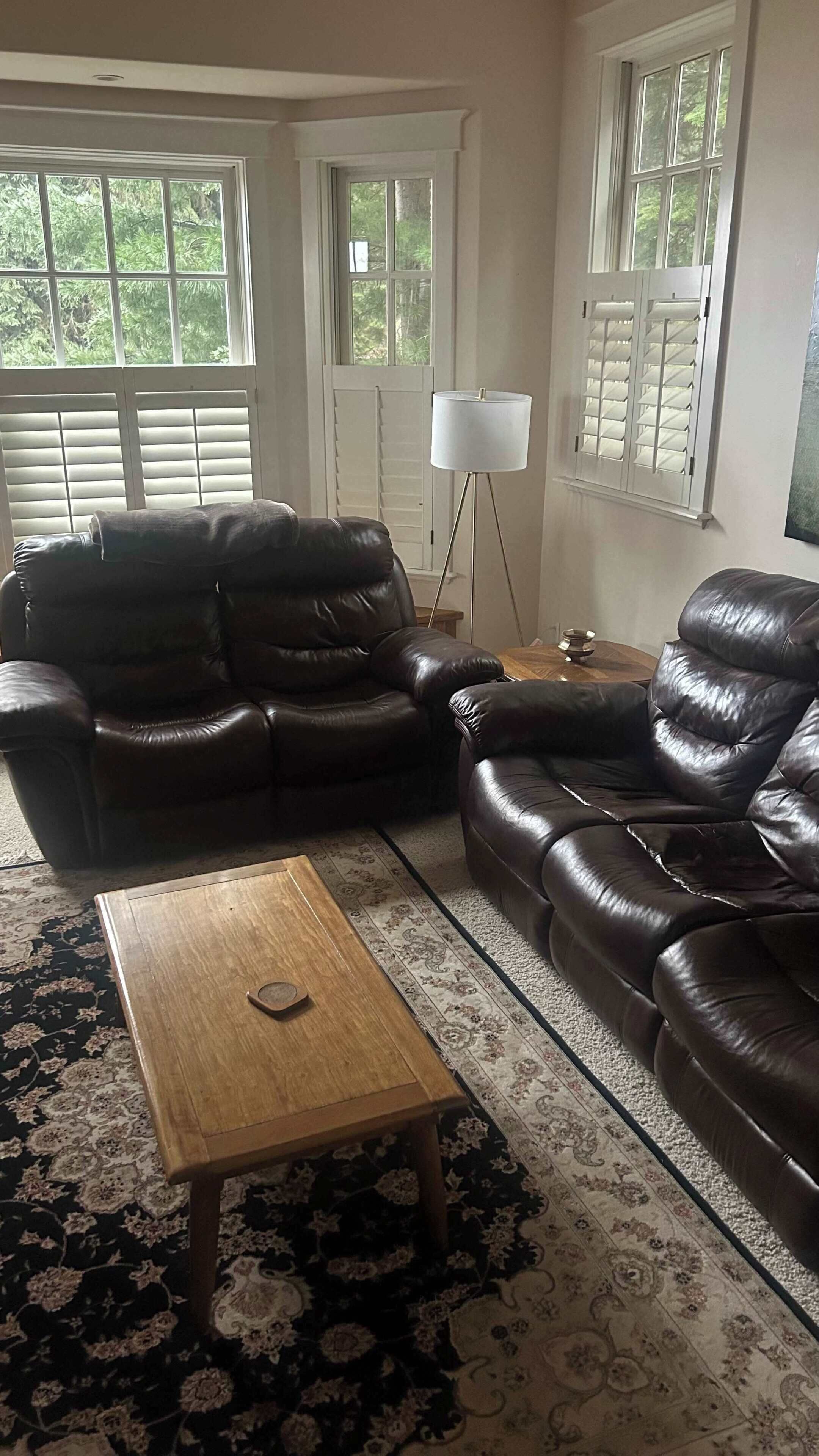 A living room with two leather sofas, a wooden coffee table, a floor lamp, and a patterned rug.