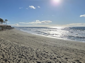 Ein Strand mit Fußabdrücken, Palmen und einem Zaun.