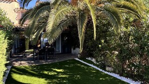 Ein gepflegter Garten mit einer Terrassenfläche, Palmen und blauem Himmel.