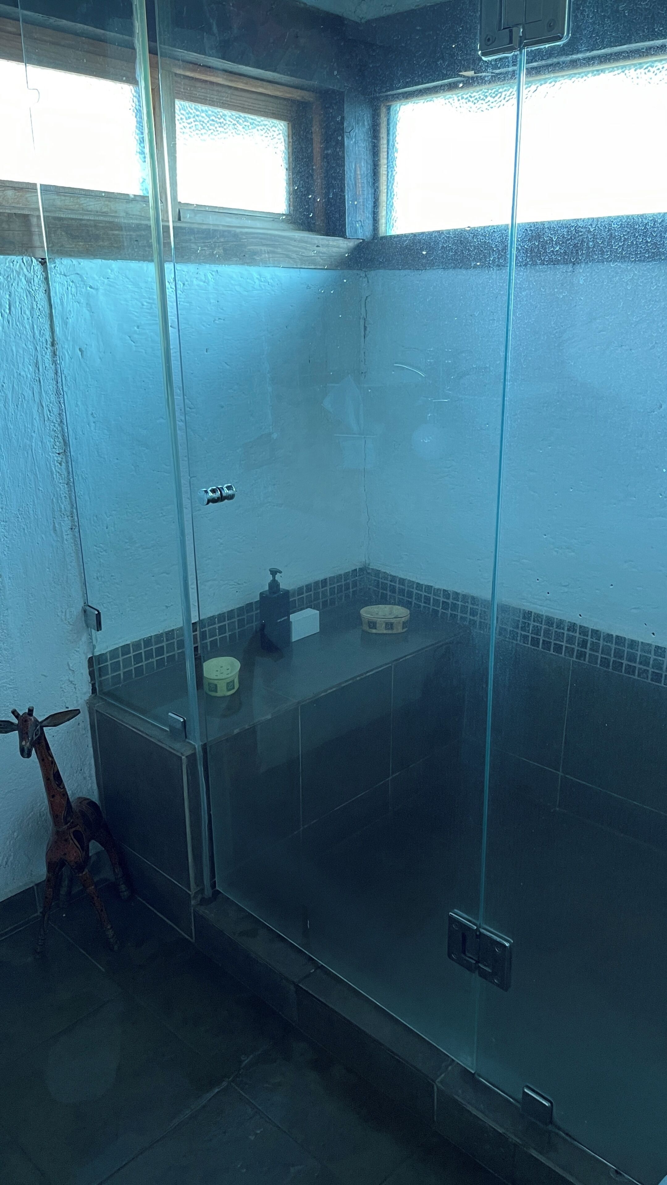 A glass-enclosed shower with tiled walls, a small shelf with toiletries, and a giraffe decoration.