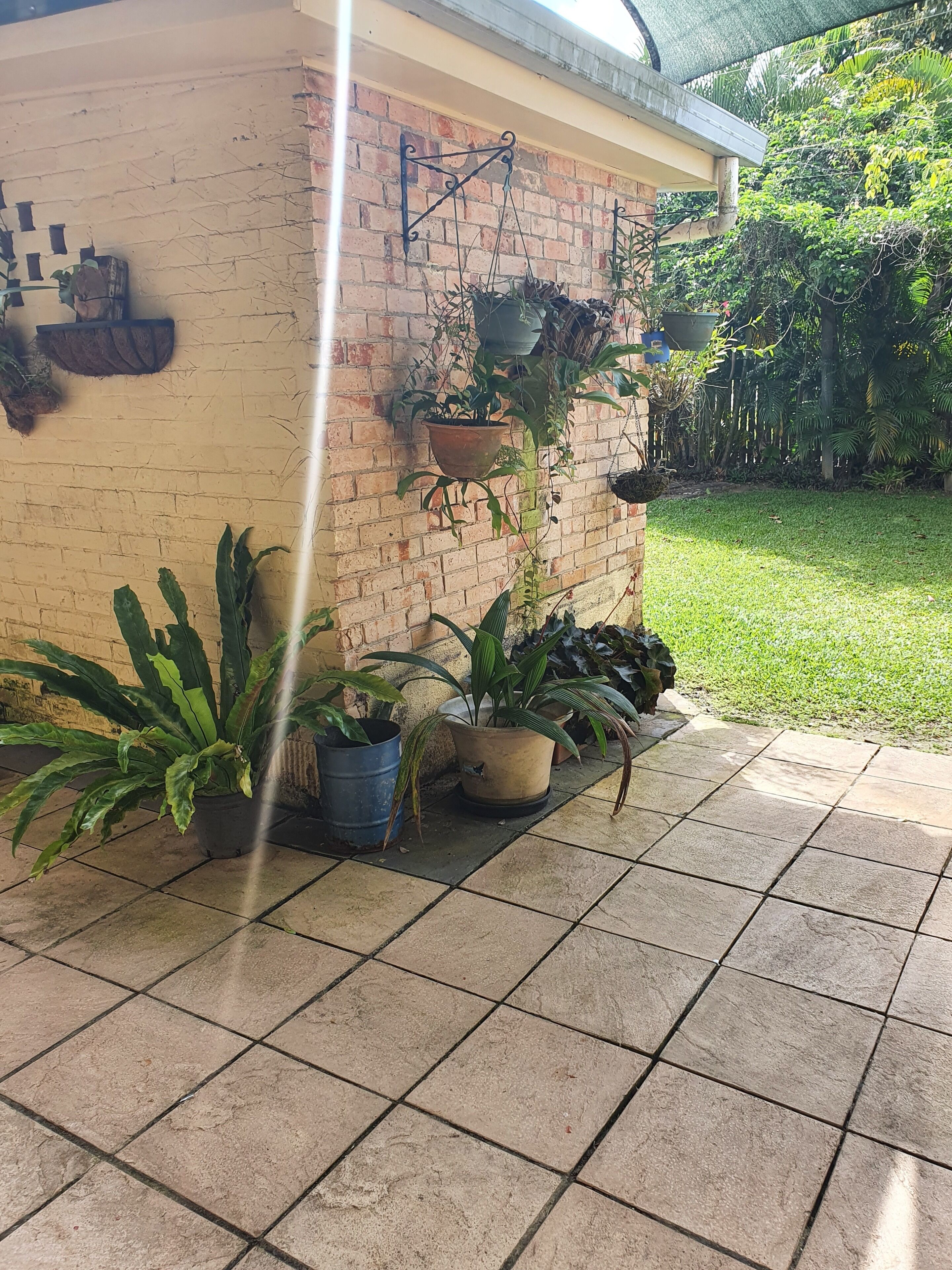 Un mur de briques agrémenté de jardinières suspendues et de plantes en pot, le tout sur une terrasse carrelée.