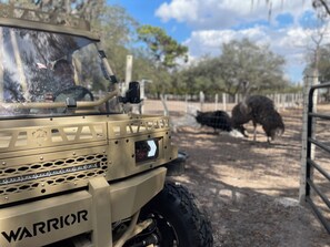 Property grounds - Serene 1-bedroom Room in Ostrich Ranch estate with private Entrance in Sebring (Sebring)