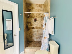 Shower, jetted bath, hair dryer, towels - Modern Lake Front 4 Bedroom House with Private Dock (Roach)
