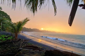 A beach scene with a palm tree, ocean waves, and a sunset. - Mecca- Casita de Reina (Cahuita)
