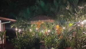 A swimming pool surrounded by potted plants and string lights.