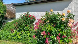 Ein Garten mit verschiedenen blühenden Pflanzen und einem weißen Gebäude im Hintergrund.