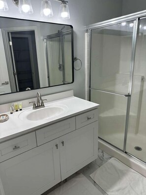 Bidet, towels, soap, toilet paper - Spacious 4-bedroom house in awesome Davenport with AC (Davenport)