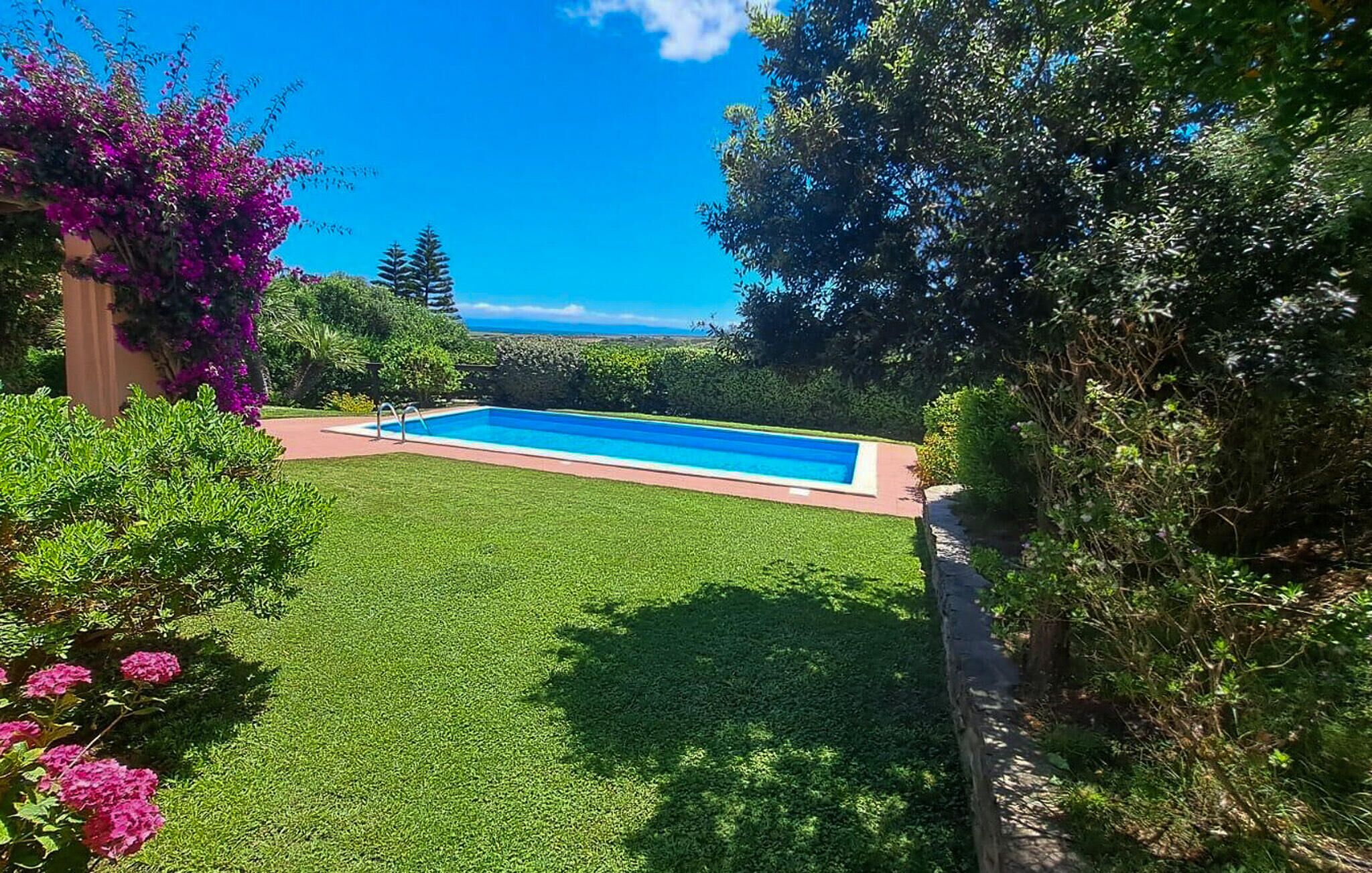 Una piscina rectangular rodeada por un césped cuidado, con follaje abundante y un cielo azul despejado al fondo.