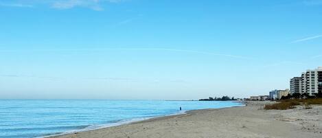 Une plage avec un ciel dégagé et une mer calme. On aperçoit des bâtiments à l’arrière-plan.