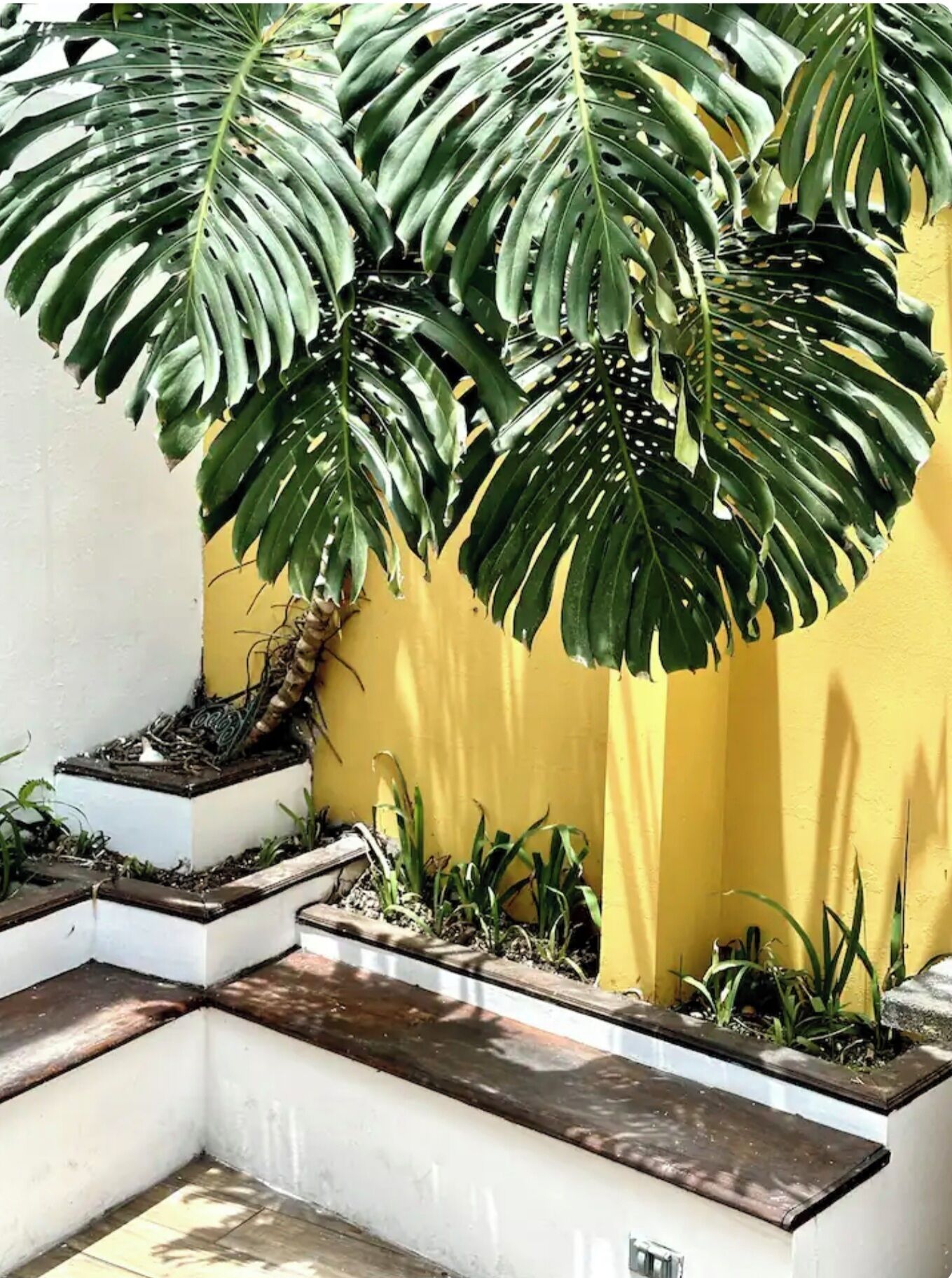 Detalle del exterior