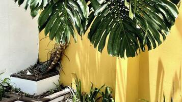 Detalle del exterior