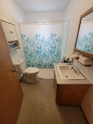Bathroom - Chassell Bay Ranch (Chassell)