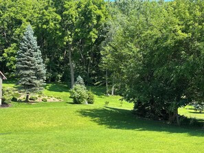 A well-maintained lawn with a variety of trees and shrubs, a clear sky, and a house partially visible on the left. - Cozy Hillside Hideaway (La Crosse)