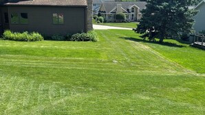 A residential lawn with a house in the background.