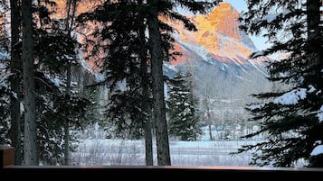 Family Condo, Non Smoking, Mountain View | Property grounds