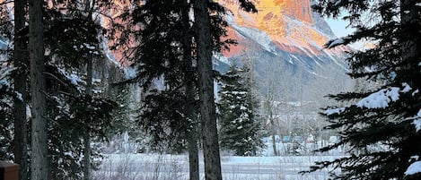 Family Condo, Non Smoking, Mountain View | Property grounds