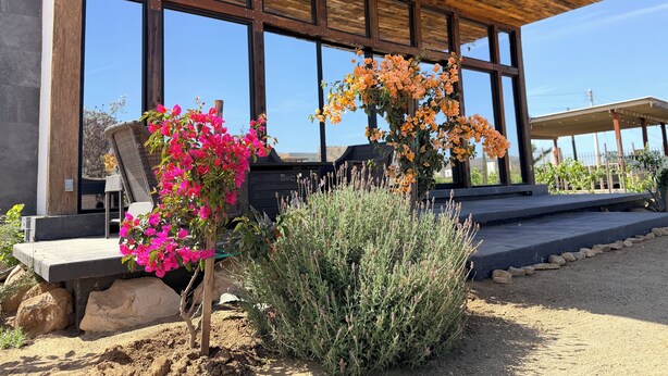 Un edificio moderno con amplios ventanales, techo de madera y un jardín con plantas y flores.