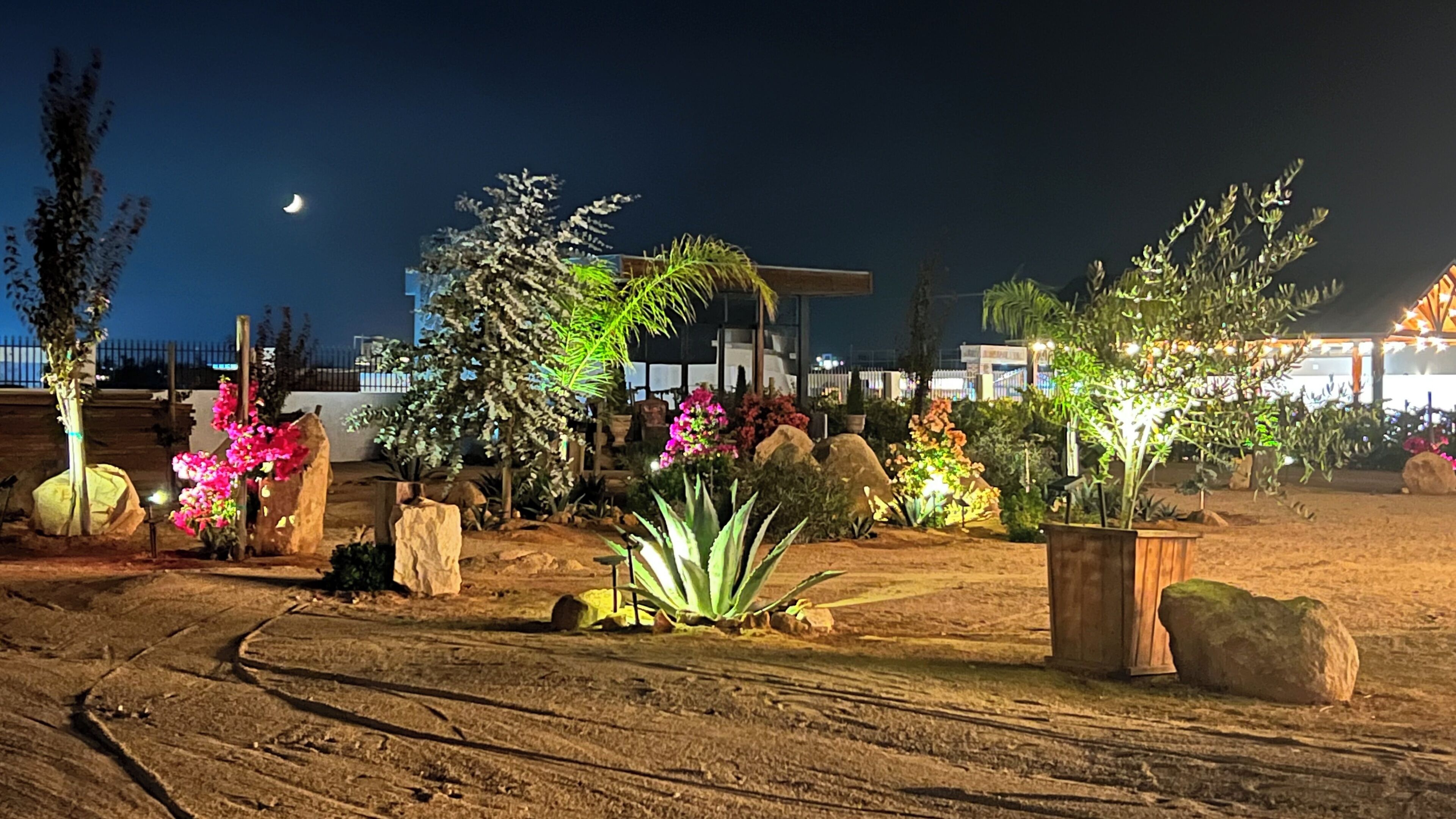 Um jardim bem cuidado com diversas plantas e pedras, um caminho e um edifício ao fundo.