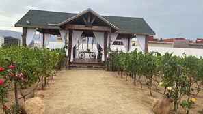 Khuôn viên nơi lưu trú