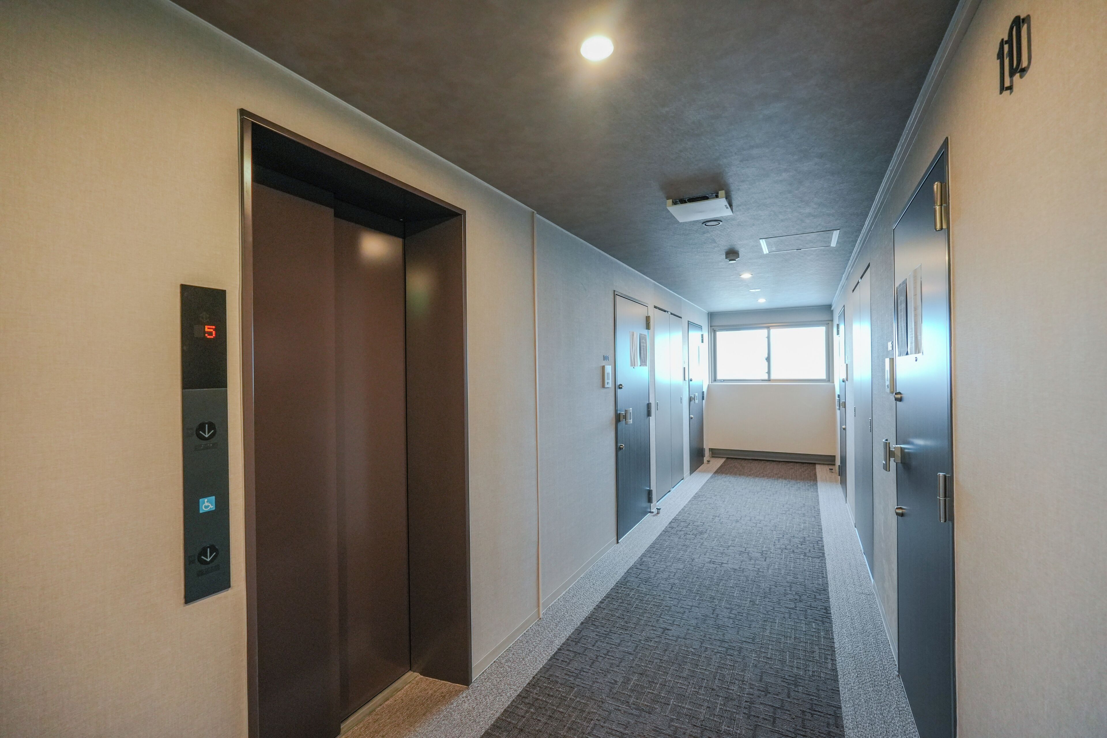 A hallway with an elevator, doors, and a carpeted floor.