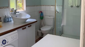 Un bagno con lavandino, servizi igienici, doccia e lavatrice.