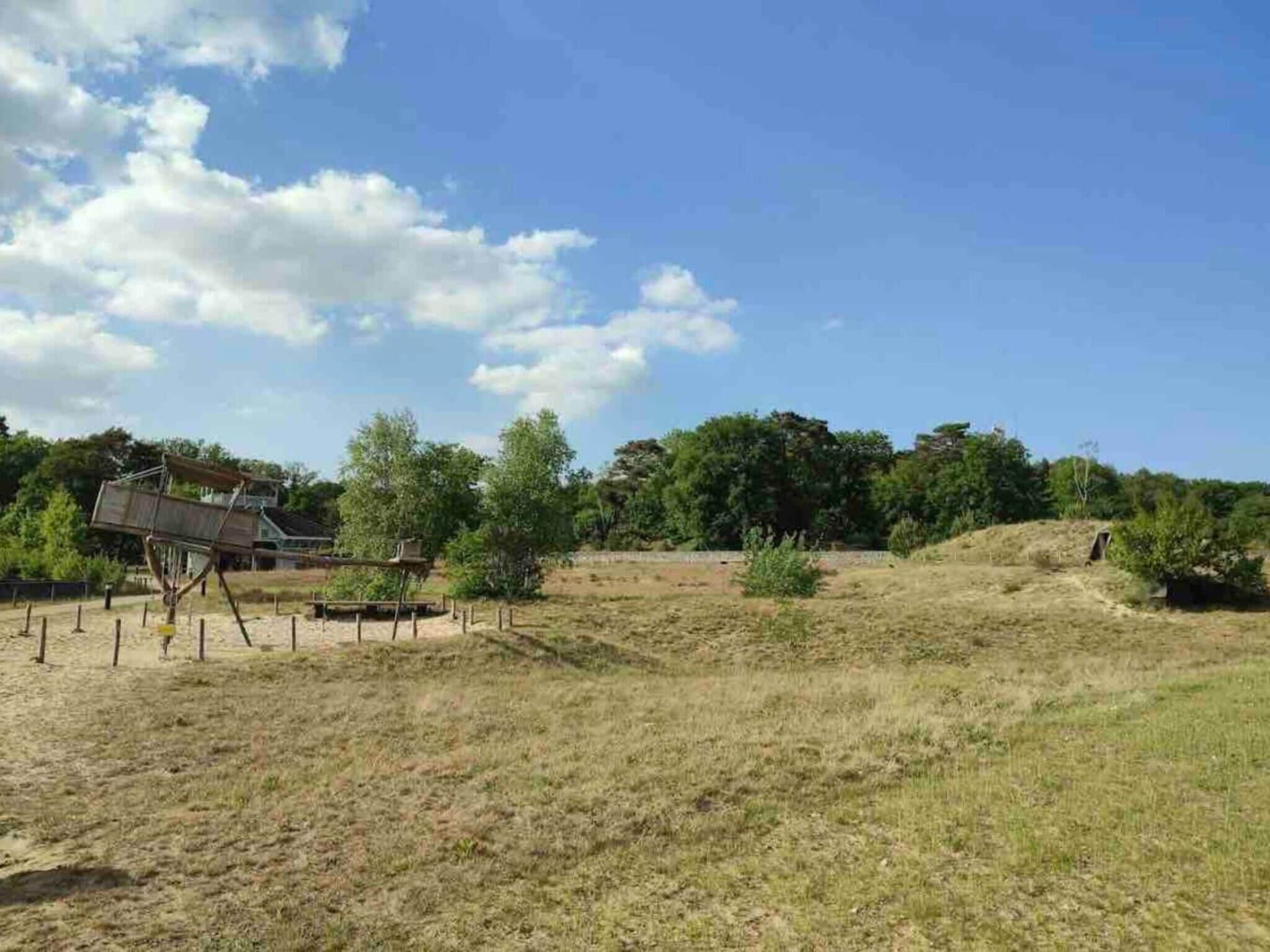 A dry grassy field with scattered trees and a structure with a slanted roof.