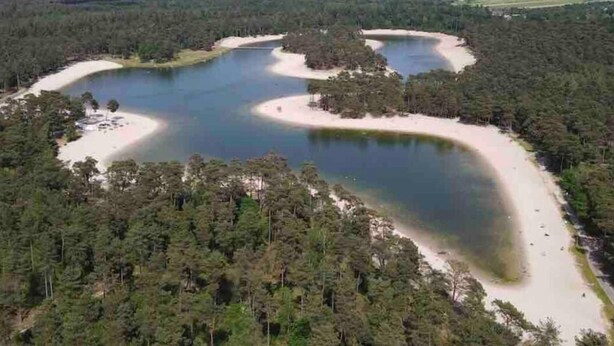 A large body of water surrounded by dense forest.