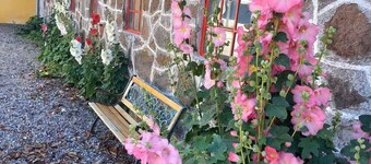 Cozy & Spacious Rooms for 4 Single Beds