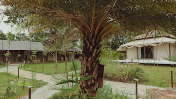 Overnattingsstedets uteområder