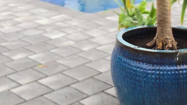 Een potpalmpje in een blauwe pot, een bakstenen gebouw met een bank, en een zwembad.