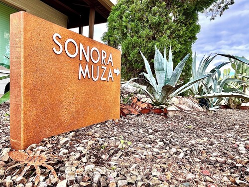 Modern Boho Casita w/ Firepit in Historic Central Tucson Neighborhood