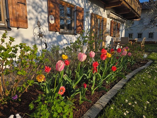 Vacation apartment 30 sqm, 2 persons