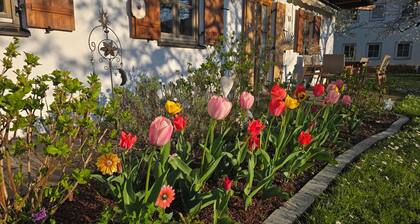 Vacation apartment 30 sqm, 2 persons