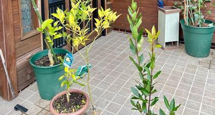 Cottage / Shiso City Hyōgo