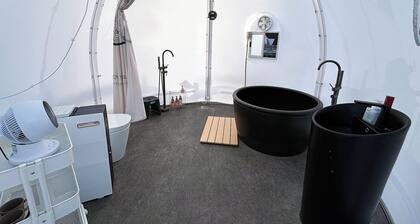 Room Only Experience playing the guqin and throw / Kimitsu City Chiba