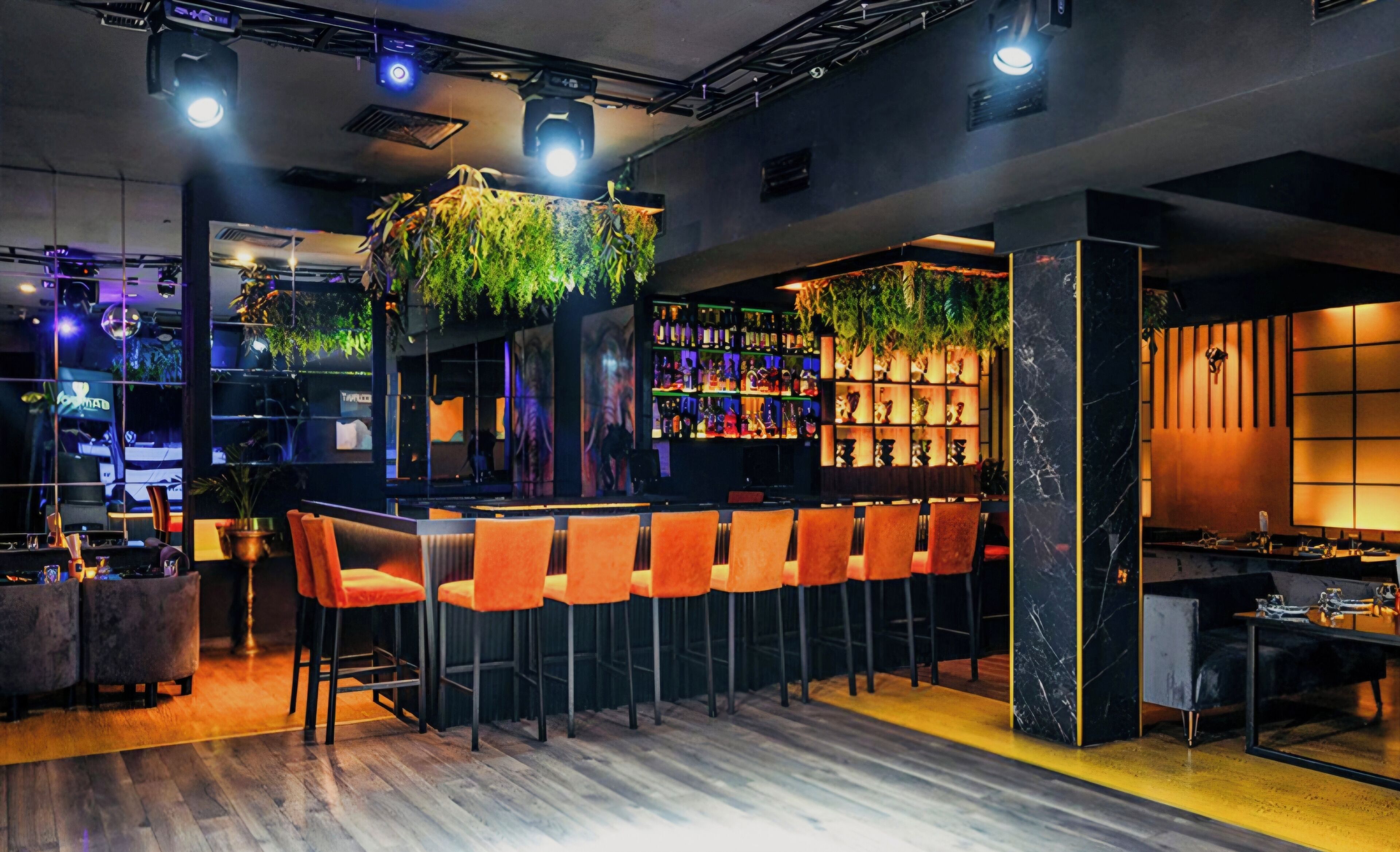 Comfort-lejlighed - balkon - strandudsigt | Bar (på overnatningsstedet)