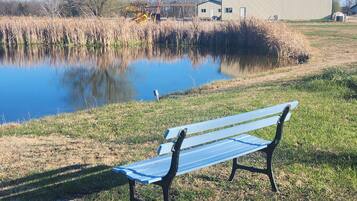 Terrain de l’hébergement