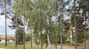 Boendeområde