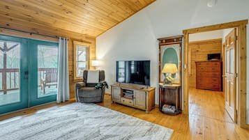 TV, fireplace, books