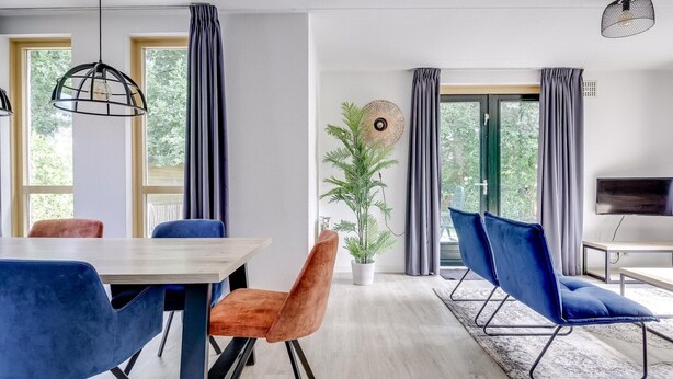 Un comedor moderno con una mesa de madera, sillas azules y anaranjadas, y una planta en maceta.