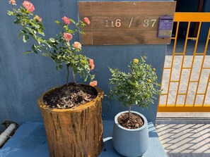 Exterior detail - For You Breeze Casa Private Pool Villa with 3 bedrooms, Near Cha-Am Beach (Khao Yai)