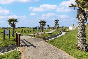 A paved pathway leading to a wooden bench, surrounded by palm trees and grassy areas. - Apartment with air conditioning (Tergu)