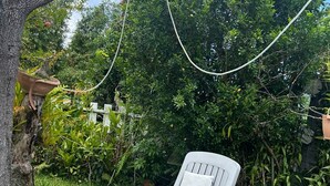 Un fauteuil de jardin blanc, placé dans un jardin avec un arbre et des plantes en pot.