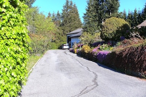 A residential street with a house, a car, and lush greenery.