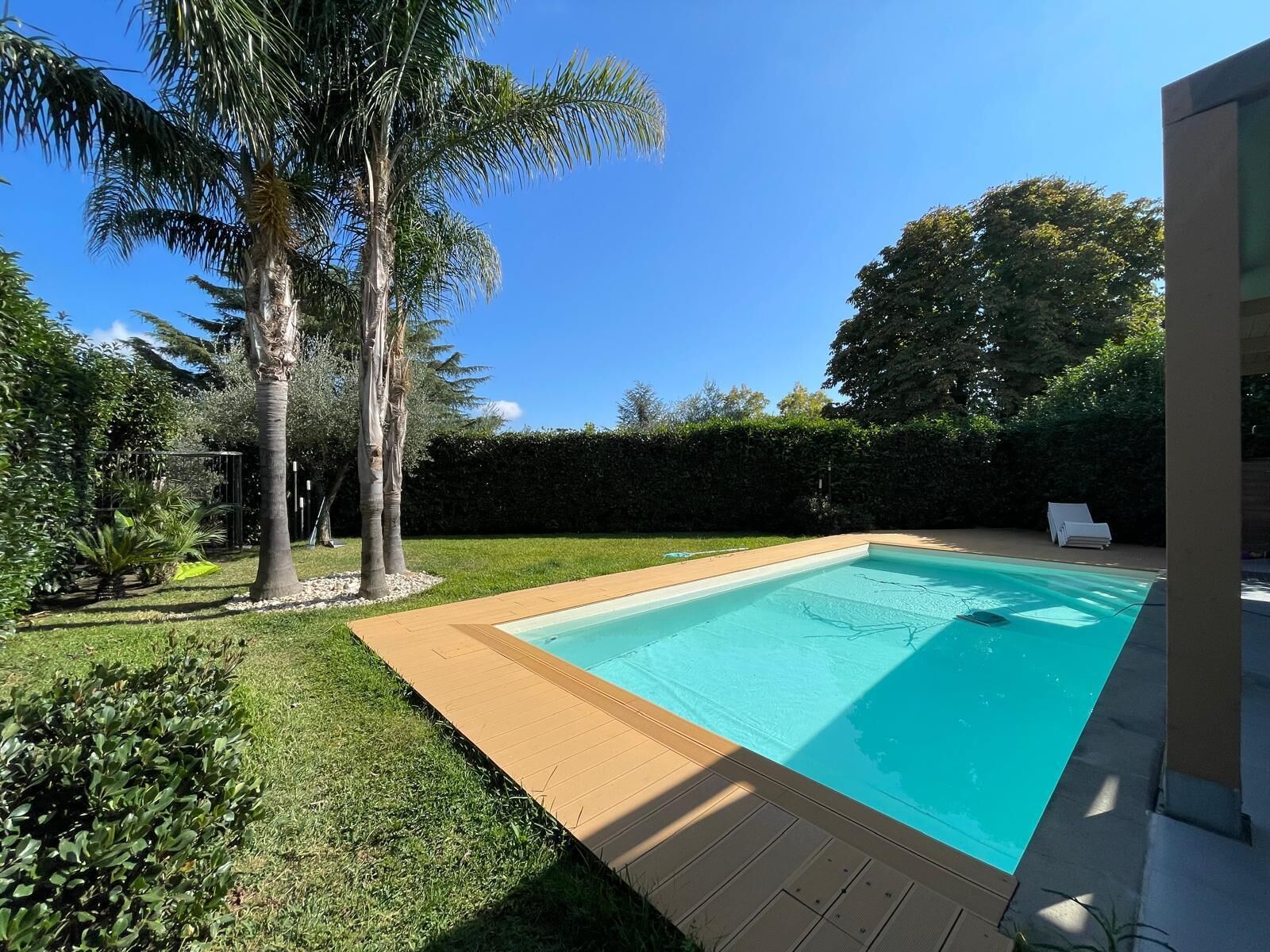 Una piscina rectangular con muelle de madera, rodeada de césped cuidado y palmeras.