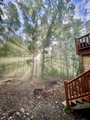 Overnattingsstedets uteområder