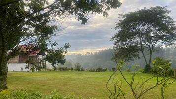 Halaman properti
