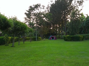 Khuôn viên nơi lưu trú