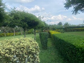 Área da propriedade